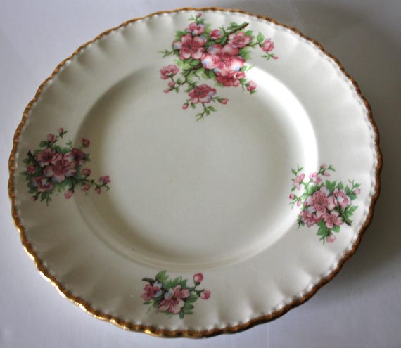 Dinner Plates, Grindley Cream Petal, Blossom Pattern, 10 Inch, Set