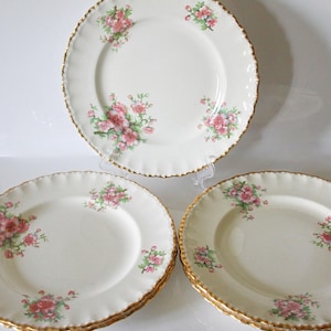 Dinner Plates, Grindley Cream Petal, Blossom Pattern, 10 Inch, Set of Five