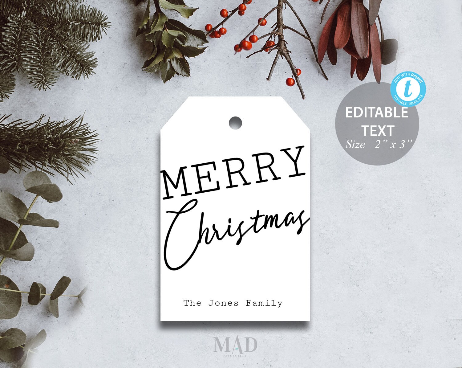 EDITABLE Christmas Tag Printable Christmas Tags Christmas | Etsy