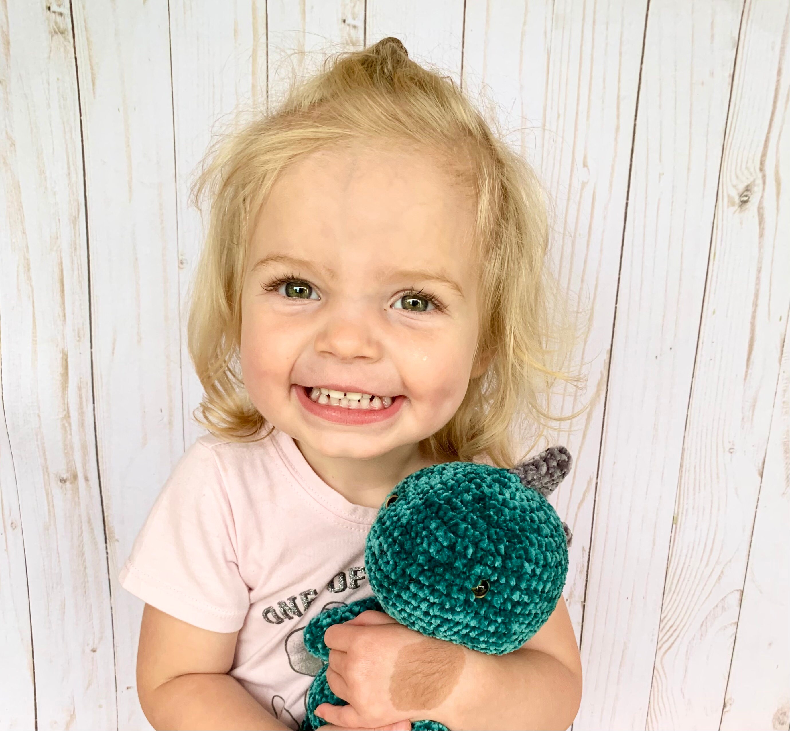 Dinosaur Stuffed Animal Dinosaur Stuffie Dinosaur Plush Velvety Soft