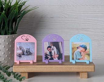 Mini Sweet Paw Frame | Photo Magnet Frame | Fridge Magnet Frame | Magnet Organizer | Custom Photo Magnets | Fridge Magnets | Fridge Magnets