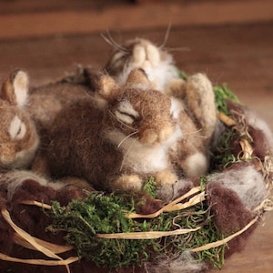 Needle Felted Eastern Cottontail Rabbit Nest - Made to Order