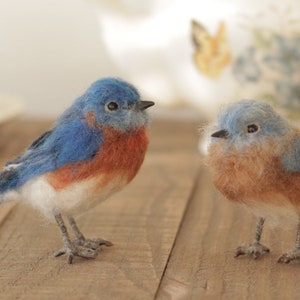 May include: Two needle felted bluebird figurines. One bluebird is standing with its wings slightly spread. The other bluebird is sitting with its wings tucked in. Both bluebirds have a brown chest and white belly.