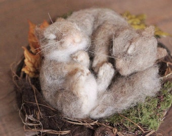 Needle felted baby Gray Squirrels with nest