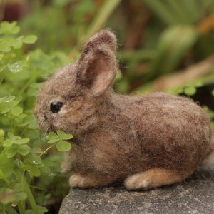Needle Felted baby Cottontail Rabbit Made to Order image 4