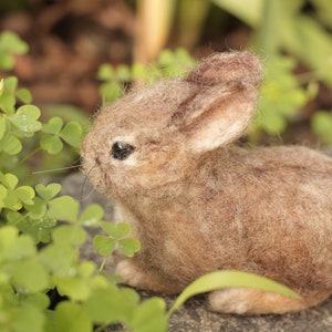 Needle Felted baby Cottontail Rabbit Made to Order image 5