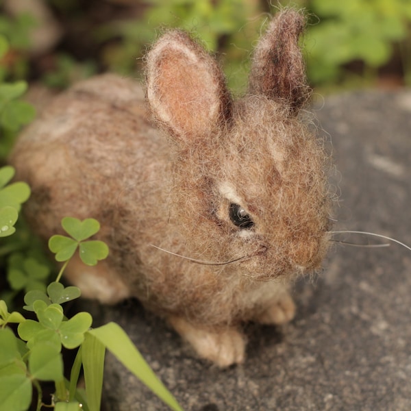 Needle Felted baby Cottontail Rabbit - Made to Order