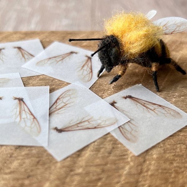 Wings for your Needle Felted Bees. 6 pairs of Translucent Wings.