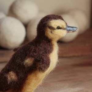 Needle Felted Mallard Duckling - Made to Order