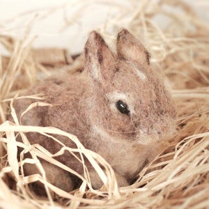 Needle Felted baby Cottontail Rabbit Made to Order image 2