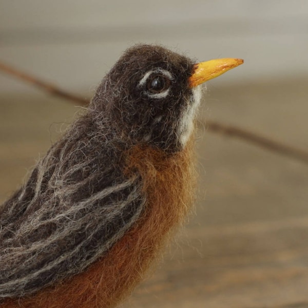 Needle felted American Robin - Made to Order