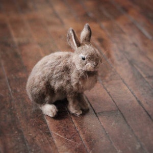 Needle Felted Eastern Cottontail Rabbit Made to Order image 5