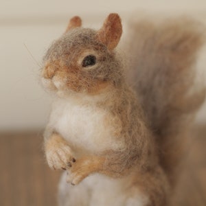 Needle felted Gray Squirrel, Needle Felted Animals Made to Order image 6