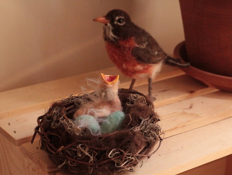Robins Nest Mother's Day Gift Bird Nest Robins Eggs Etsy