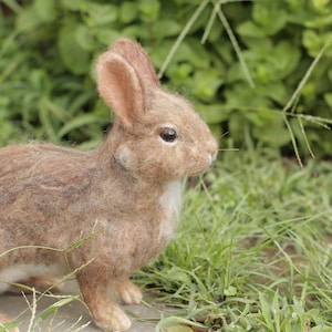 Needle Felted Eastern Cottontail Rabbit Made to Order image 4