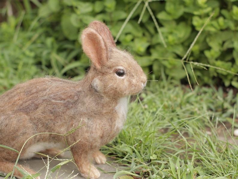 Needle Felted Eastern Cottontail Rabbit Made to Order image 4