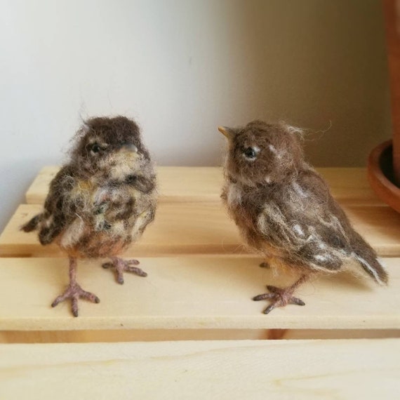 Needle Felted Robin Fledgling - Made to Order