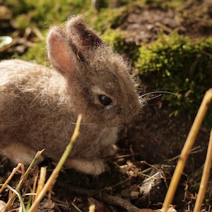 Needle Felted baby Cottontail Rabbit Made to Order image 6