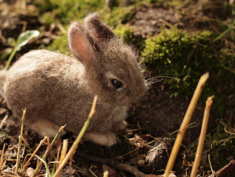 Needle Felted baby Cottontail Rabbit Made to Order image 6