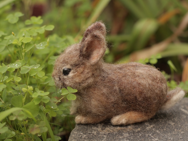 Needle Felted baby Cottontail Rabbit Made to Order image 4