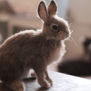 Needle Felted Eastern Cottontail Rabbit Made to Order image 1