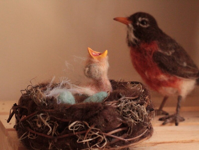 Robins Nest Mother's Day Gift Bird Nest Robins Eggs Etsy