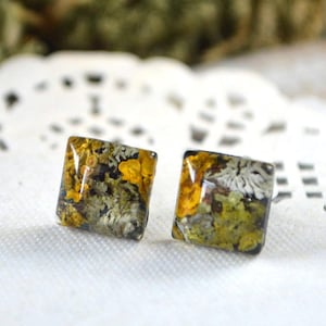 May include: A pair of square-shaped earrings with a clear resin base and a pressed, dried, yellow and green lichen design.