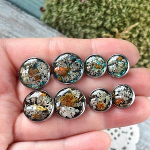 echte korstmossen oorstekers rond harskristal, Keltisch geperst bosmos sieraden vrouwen cadeau-idee voor haar, mannen oorbellen op de natuur geïnspireerd