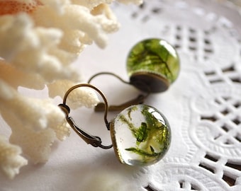 terrarium earrings moss in resin transparent jewelry for nature lovers, green jewelry resin earrings forest lover gift nature, resin jewelry