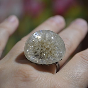 real dandelion ring woodland resin jewelry wish, sister gift for friend terrarium ring nature lover gift for women, her forest ring handmade