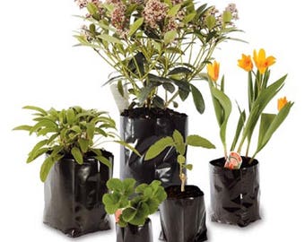 10 Pack of Poly Pots Strong Grow Bag Containers - Many Sizes - Polypots - Plastic Plant Pot