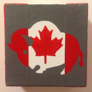 Canadian Buffalo Painting