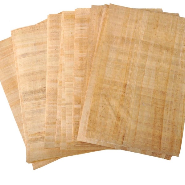 Egyptian Blank Papyrus Sheets.