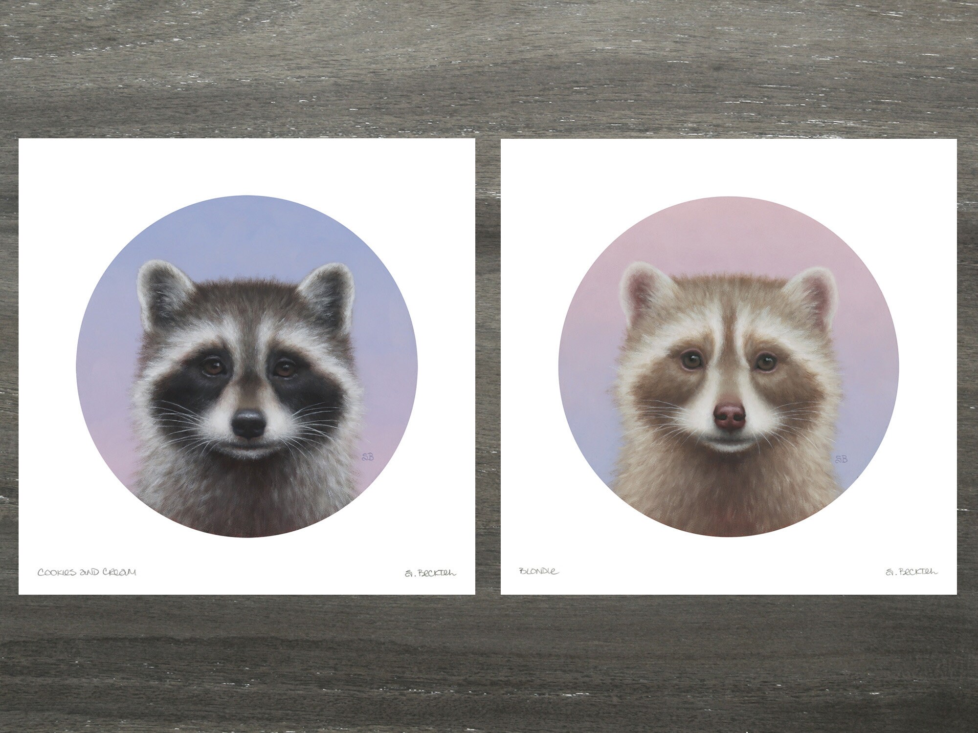 Raccoon Portrait Sticker — Sarah Becktel
