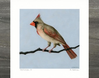 Female Cardinal Art Print with Original Cardinal Artwork by Sarah Becktel. Gifts Under 20, Cardinal Painting, Cardinal Decor, Cardinal Gift