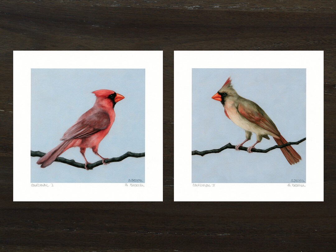 Cardinal Art Print Set With Original Art by Sarah Becktel. Cardinal ...