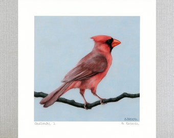 Cardinal Art Print Original Art by Sarah Becktel. Cardinal Artwork, Cardinal Home Decor, Cardinal Painting.