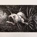 see more listings in the Etchings section