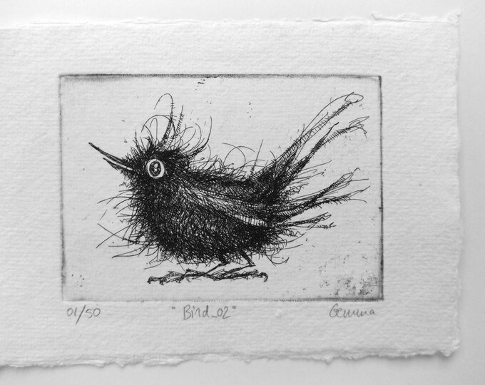 Bird Etching Original Handmade Print 7 X 10 Cm bird Etsy