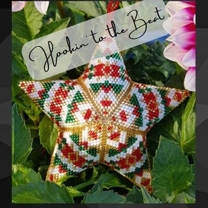 May include: A beaded star ornament with a red, white, green, and gold geometric pattern. The ornament is hanging from a green plant and has the text "Hookin' to the Beat" written on it.