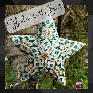 3D Peyote Star - Astrid Enda 23 - Digital Download (front is different from back)