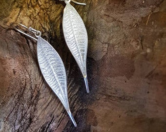 Eucalyptus inspired Sterling Silver Earrings