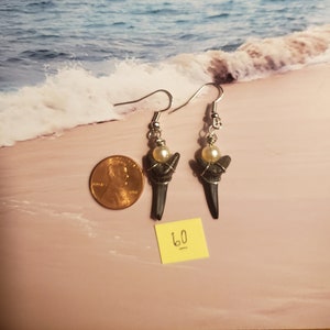 Authentic Shark Tooth Earrings