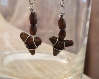 AUTHENTISCHE SHARK TOOTH Ohrringe