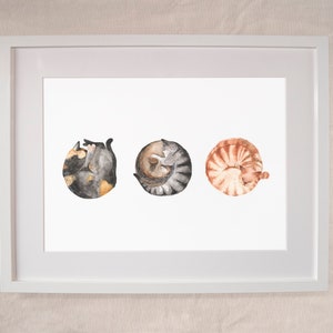 Ilustración de gato durmiendo Impresión para amantes de los gatos