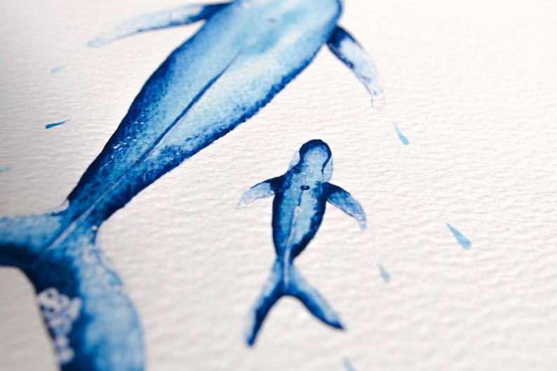 Watercolour Blue Whale Mother and Baby Art Print image 6