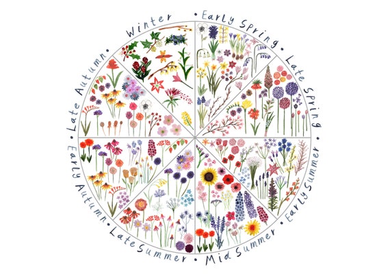 Seasonal Flowers Botanical Wall Art Spotters Guide | Etsy