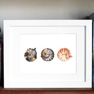 Sleeping Cat Illustration Cat Lovers Print image 4