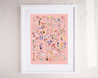 British Flowers Botanical Guide Art Print Pastel Pink & Florals