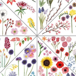 Large Seasonal Flowers Illustrated Guide Botanical & Floral image 8